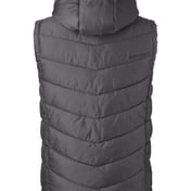 Back view of Pelmo Puffer Vest