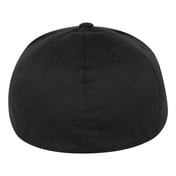 Back view of Pro-Baseball On Field Cap