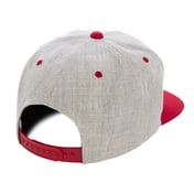 Back view of Adult 6-Panel Structured Flat Visor Classic Two-Tone Snapback