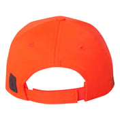 Back view of Pheasant Cap