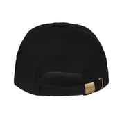 Back view of Cargo Cap