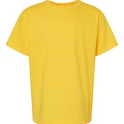 Front view of Softstyle® Youth Midweight T-Shirt