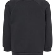 Back view of Toddler Sponge Fleece Raglan Sweatshirt