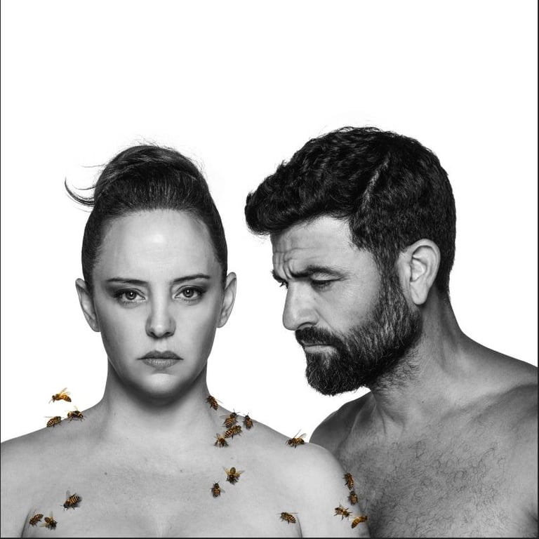 מדיאה- תיאטרון הקאמרי