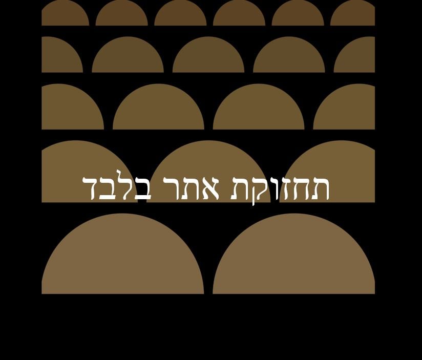 בדיקת תחזוקת אתר