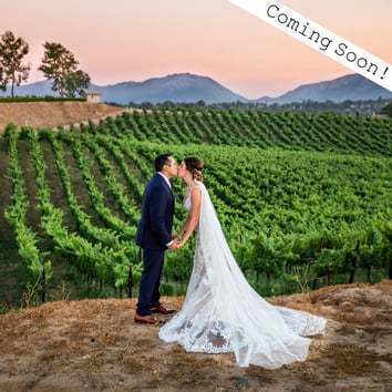 Elopement Package Option: Winery 