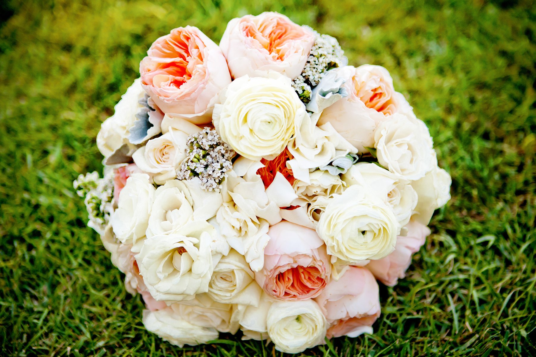 Anna clearance rose bridal