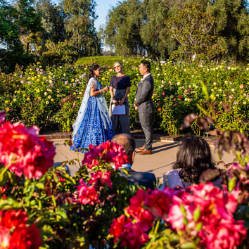 Elopement Package Option: Rose Garden / Park