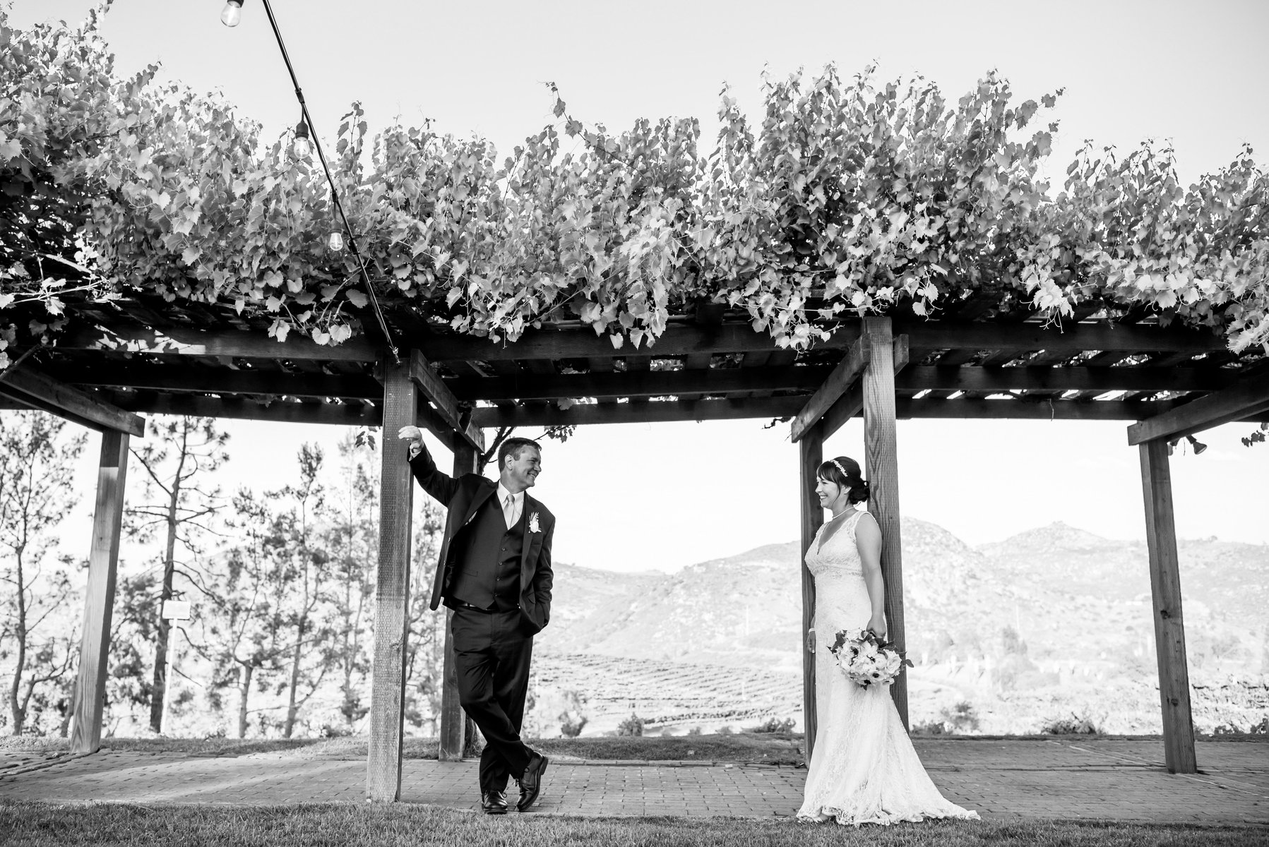 Jenny and Alain Photos Orfila Vineyards picture