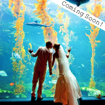 Elopement Package Option: Under the Sea