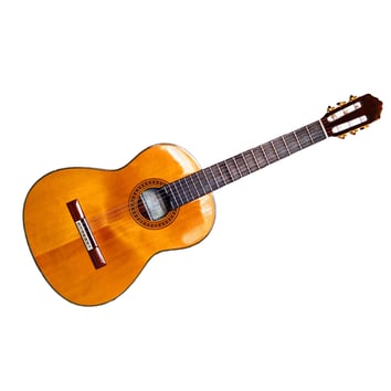 Elopement Package Option: Guitarist/Singer