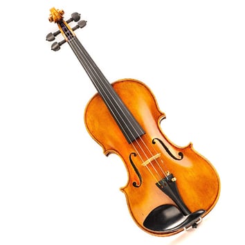 Elopement Package Option: Violinist