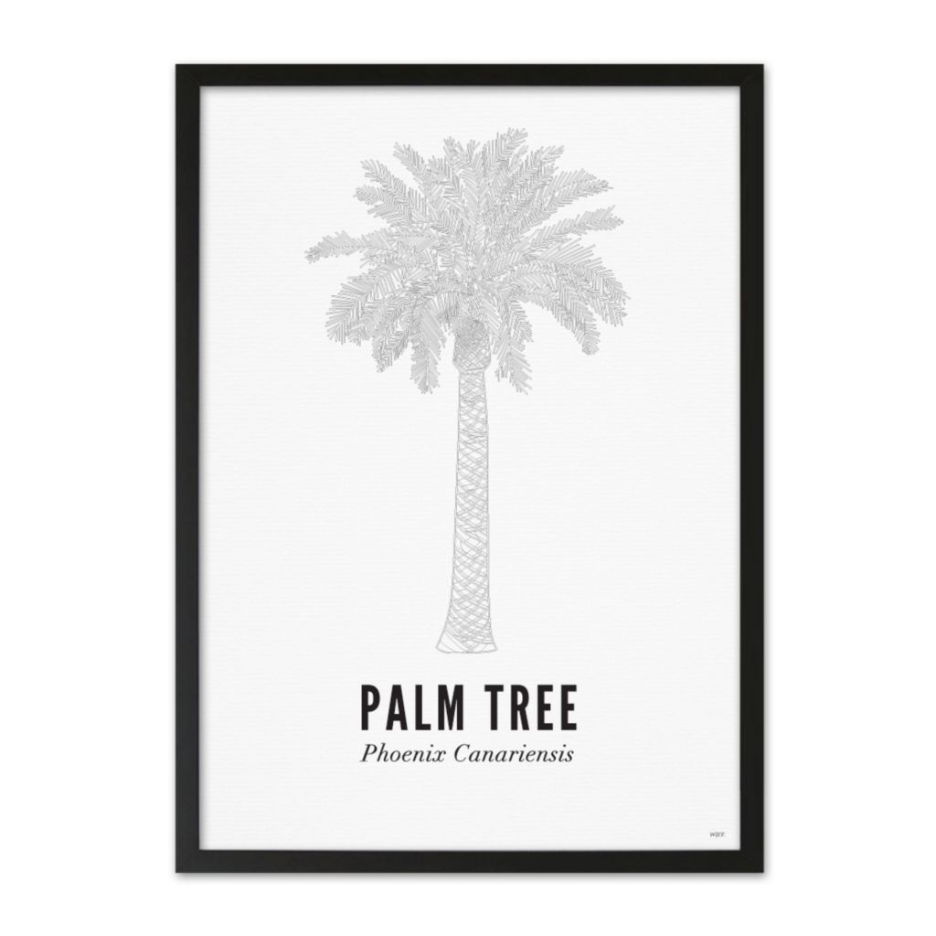 Poster van Phoenix Canariensis | WIJCK. 