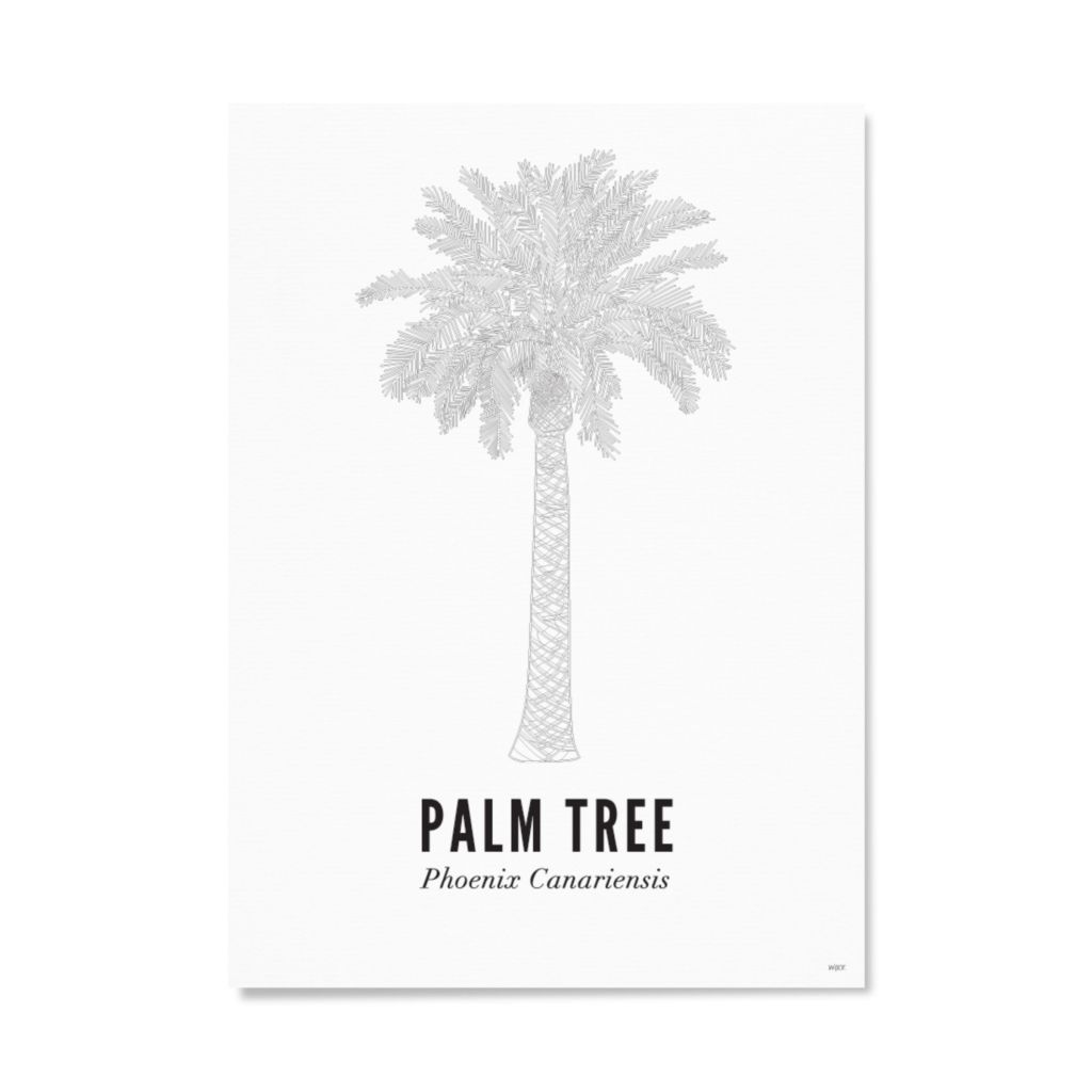 Poster van Phoenix Canariensis | WIJCK. 