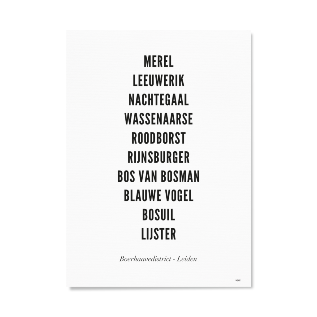 Poster of Leiden - Boerhaavedistrict | WIJCK.