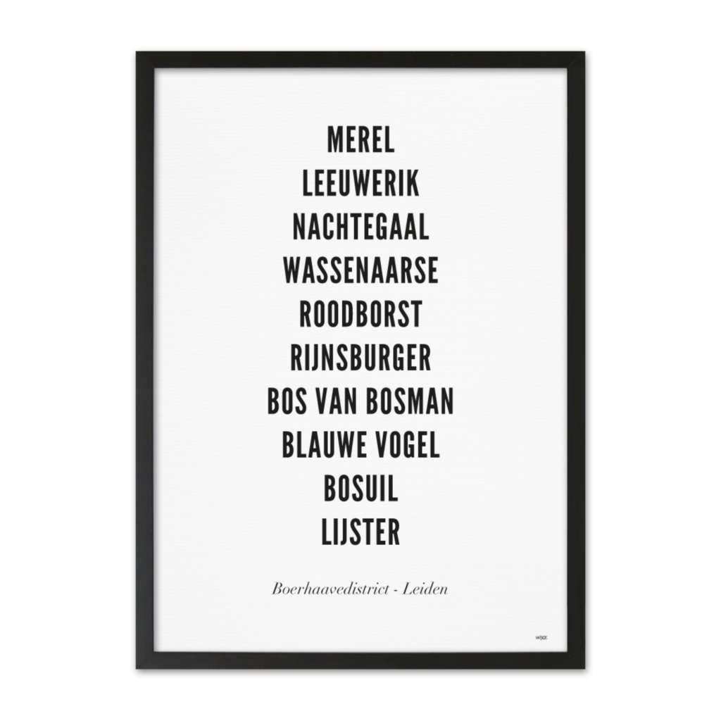 Poster of Leiden - Boerhaavedistrict | WIJCK.