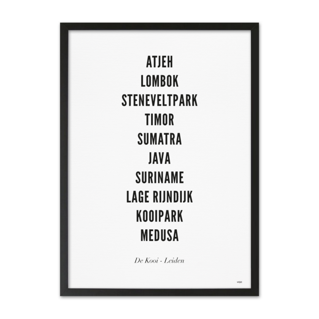 Affiches de Leiden - De Kooi | WIJCK.
