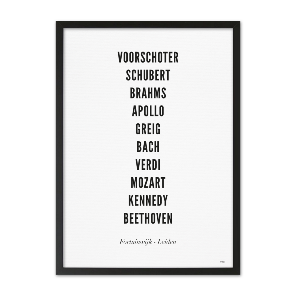 Poster van Leiden - Fortuinwijk | WIJCK. 