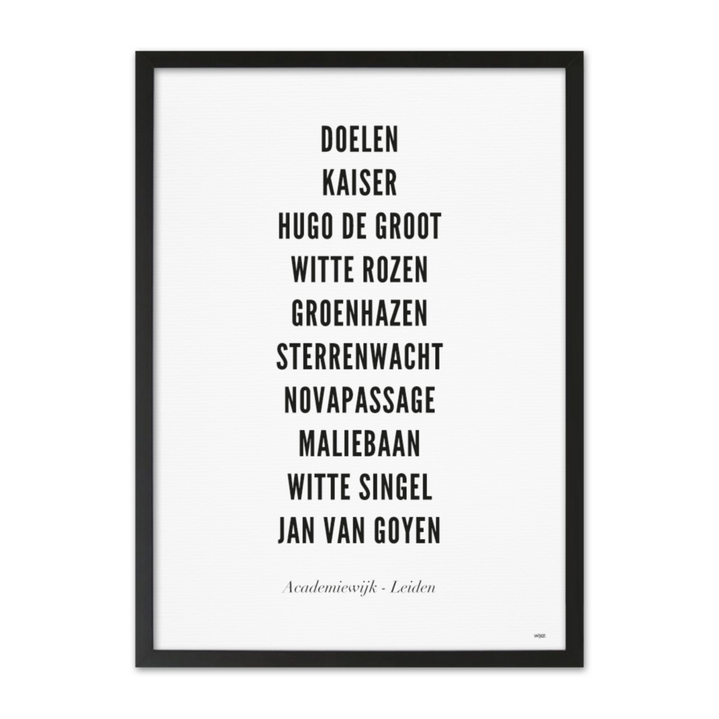 Affiches de Leiden - Academiewijk | WIJCK.