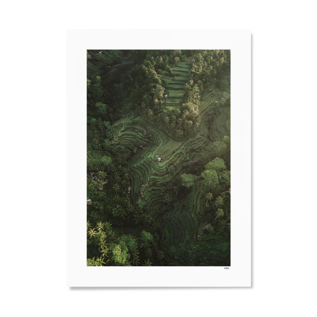 Poster of Bali - Rice Fields | WIJCK.