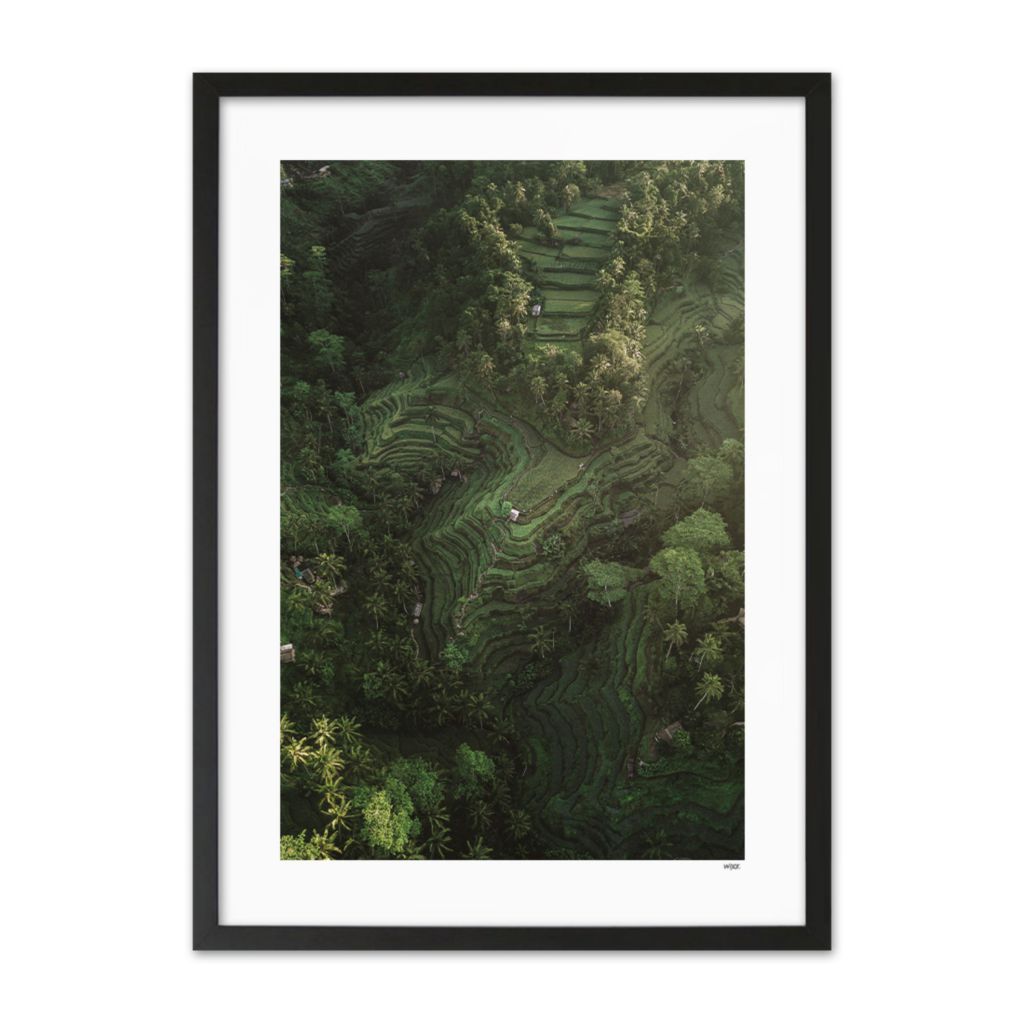 Poster of Bali - Rice Fields | WIJCK.