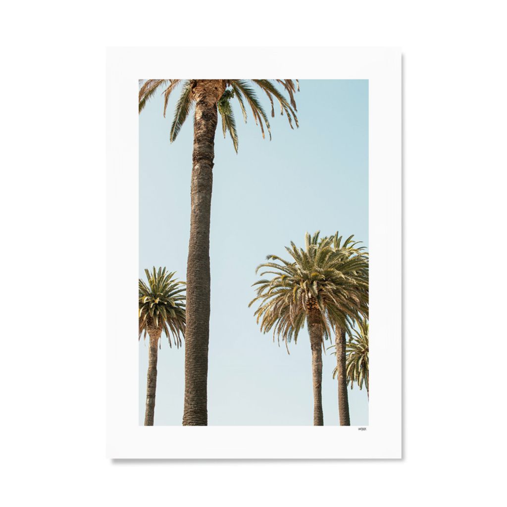 Poster von Mallorca - Palms | WIJCK.