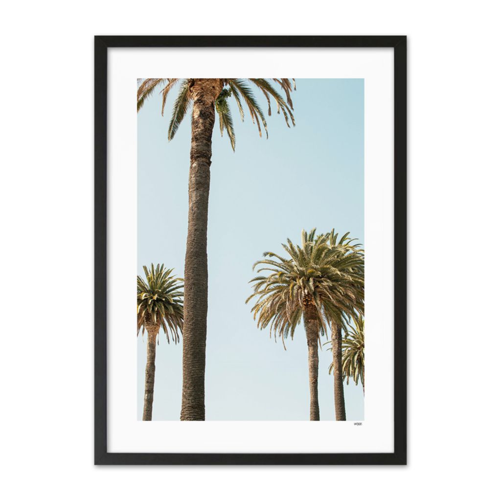 Poster von Mallorca - Palms | WIJCK.