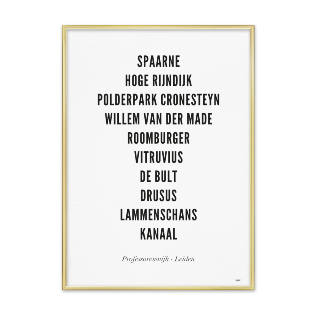 Poster van Leiden - Professorenwijk | WIJCK. 