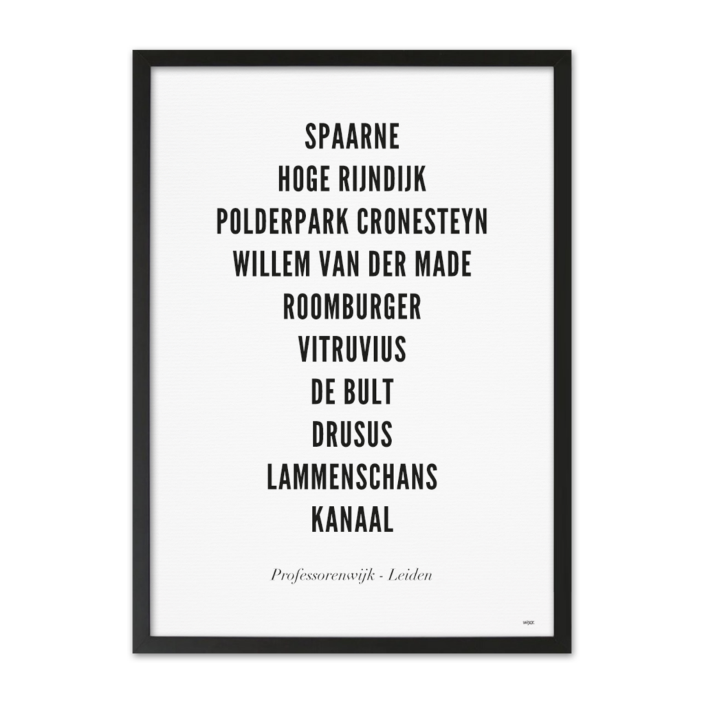 Poster van Leiden - Professorenwijk | WIJCK. 