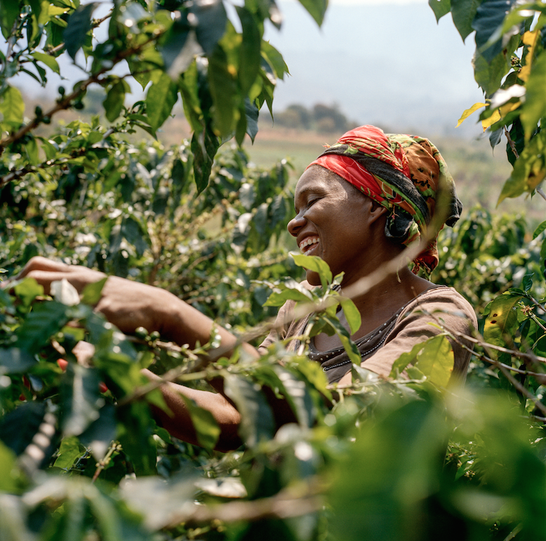 How Our Love Of African Coffee Will Help Communities Thrive