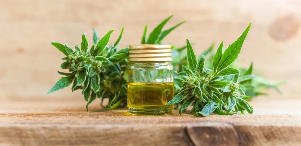 What is the Best Carrier Oil for CBD?