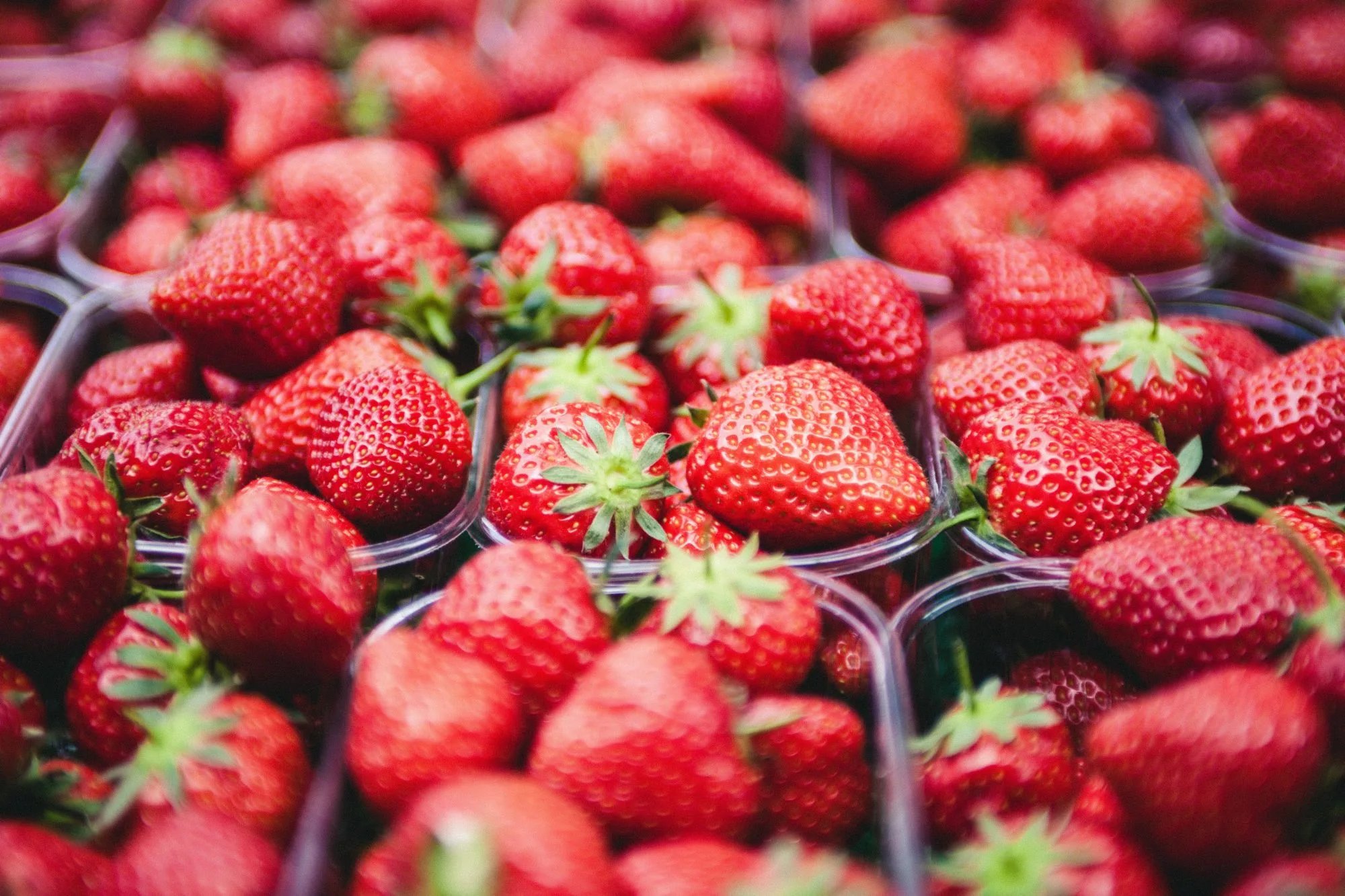 strawberries | Longevity LIVE