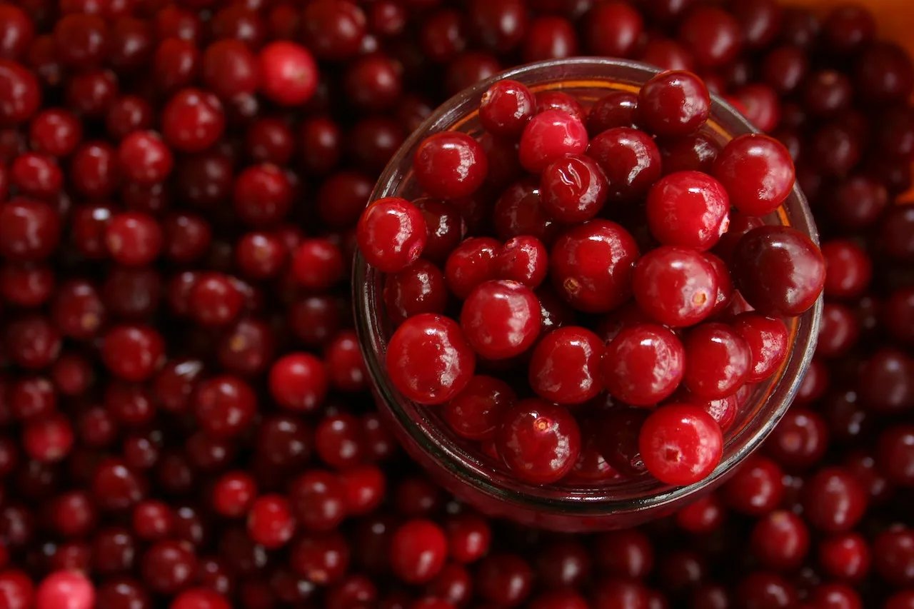 It's Official Study Confirms Cranberry Juice Can Prevent UTIs