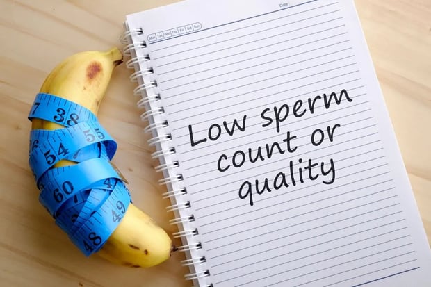 sperm count