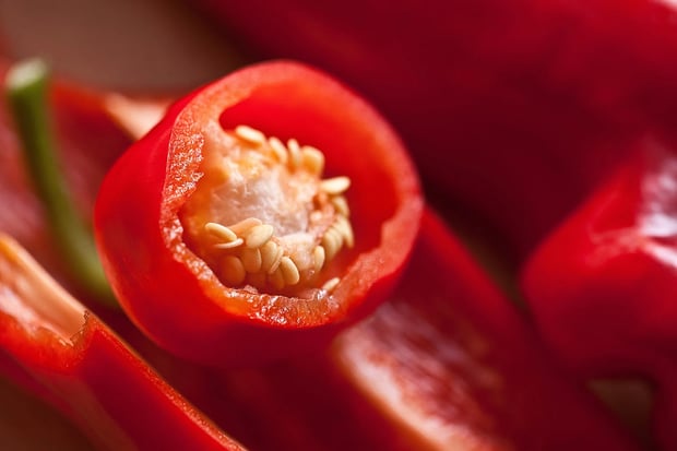 cayenne pepper | Longevity LIVE