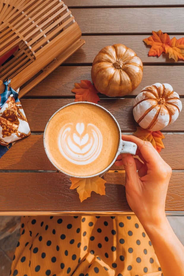 pumpkin spiced latte | Longevity LIVE