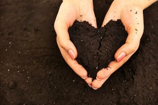 soil and carbon| Longevity Live
