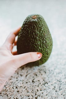 avocado fruit [longevity live]