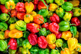 chilies and vitamin c | Longevity LIVE