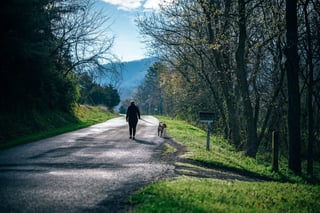 elderly fitness [longevity live]