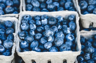 wild blueberry for better skin [longevity live]