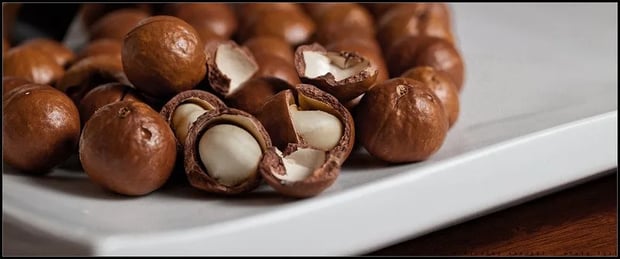 Macadamia Nuts | Longevity LIVE