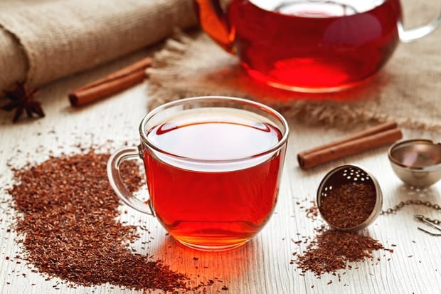 indigenous Rooibos| Longevity Live