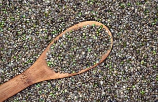hemp seeds | Longevity LIVE