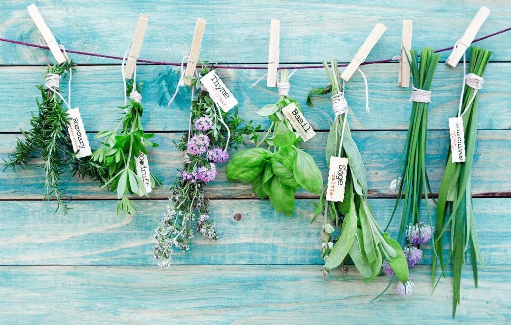 herbs and spice | Longevity Live