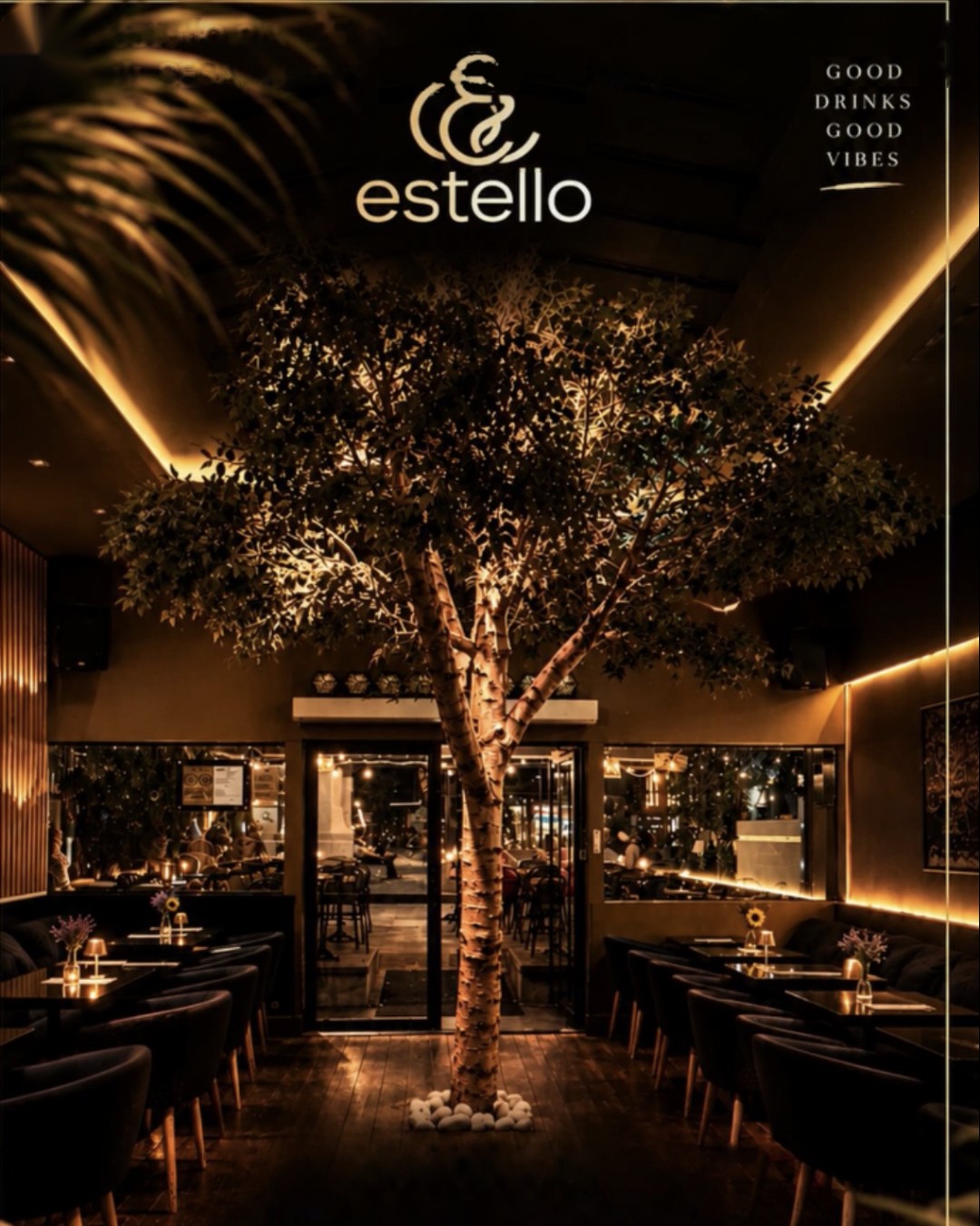Zentra Music à l’Estello