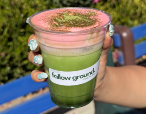 Fallow Ground