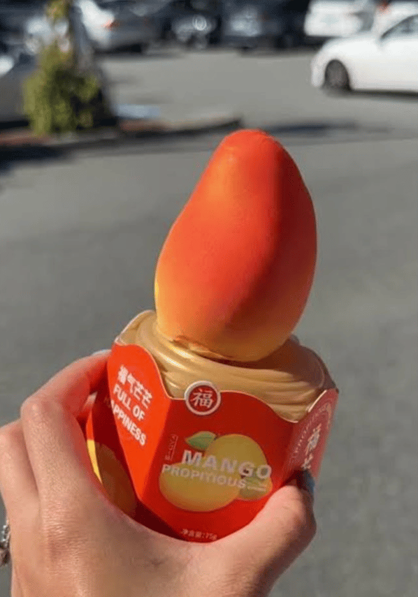 Lavish Ice Cream