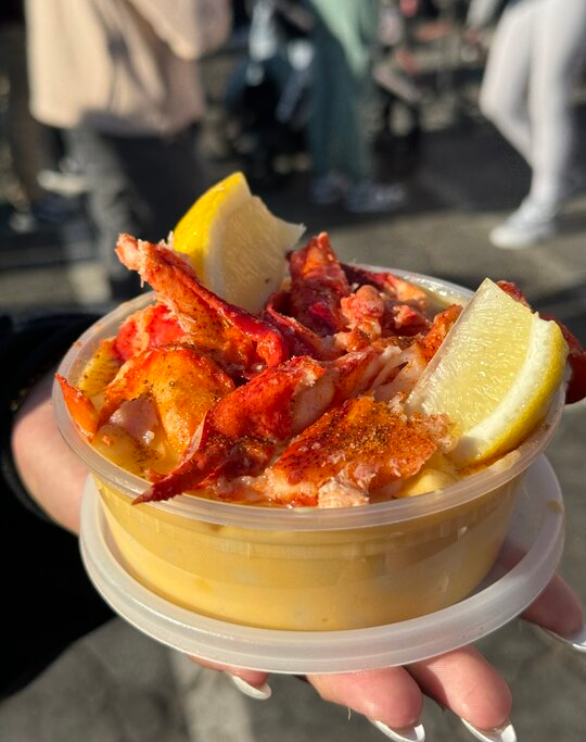 Blue Maine Lobster
