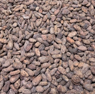 Haiti - PISA 2019 Organic - Image 2